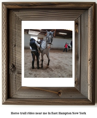 horse trail rides near me in East Hampton, New York